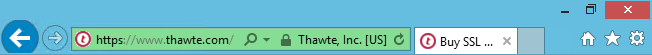 displaying the Thawte Web Server EV in a browser adress bar